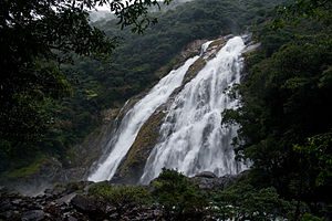 大川の滝
