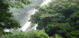 間近で見る「大川の滝」は大迫力!